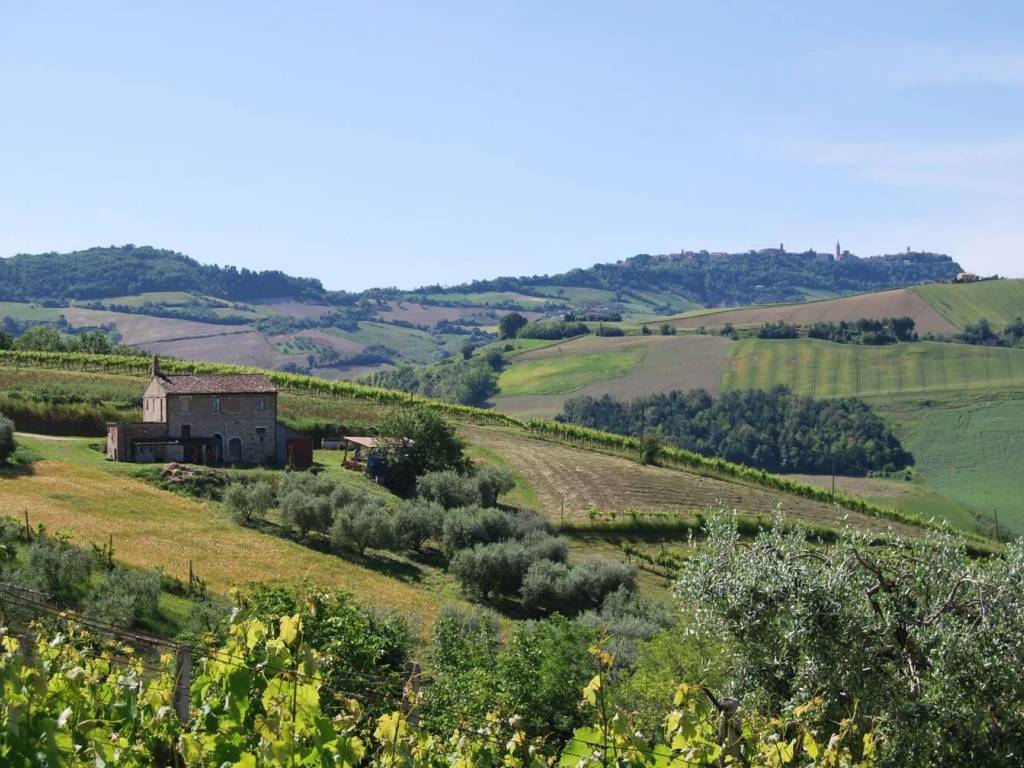 Rustico / casale a Montefiore dell'aso in Menocchia S.N.C. - Foto 5