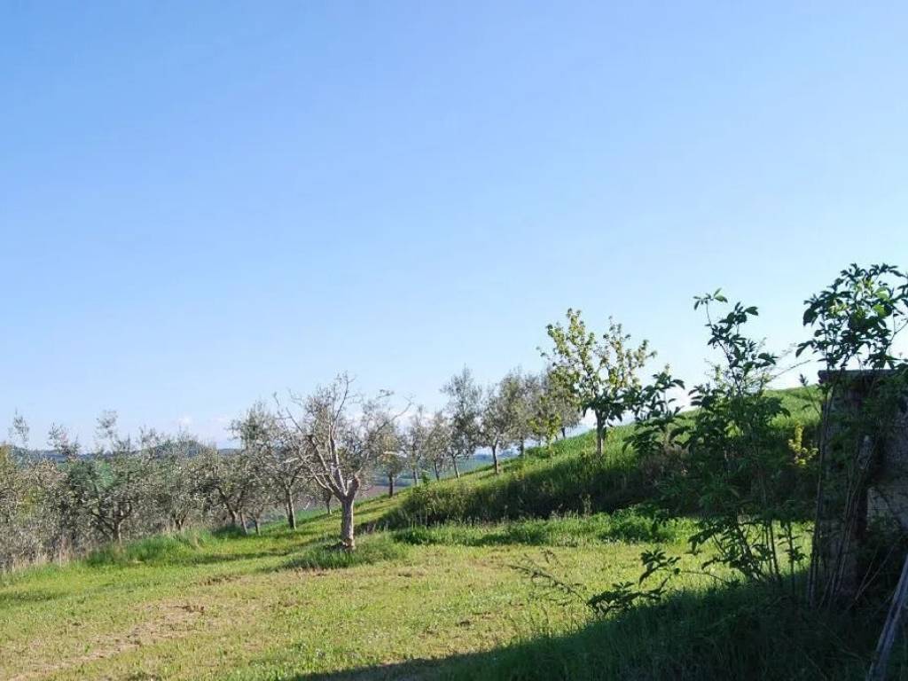 Rustico / casale a Massignano in Via Roma S.N.C. - Foto 2