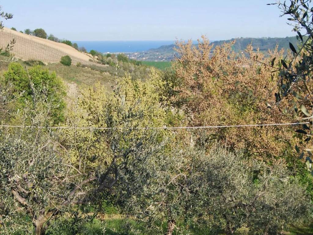 Rustico / casale a Massignano in Via Roma S.N.C. - Foto 4