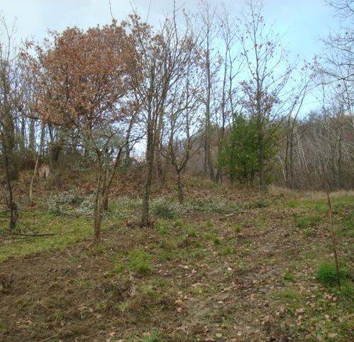 Terreno a Sant'angelo a cupolo in Via Avellola 42 - Foto 5