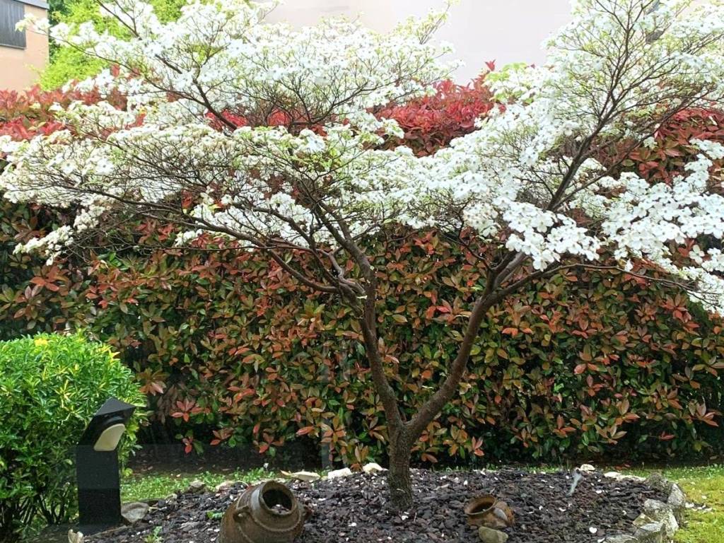 Villa a Besozzo in Via Stocchetti - Foto 3