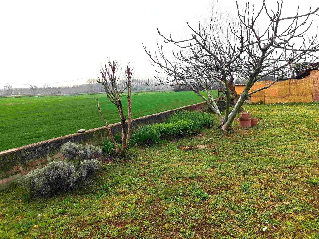 Villa a Bra in Strada Casa del Bosco - Foto 3