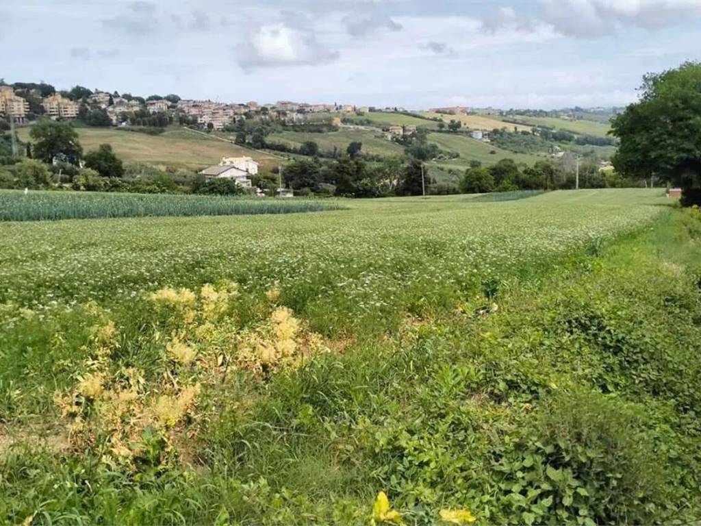 Terreno a Fermo - Foto 2