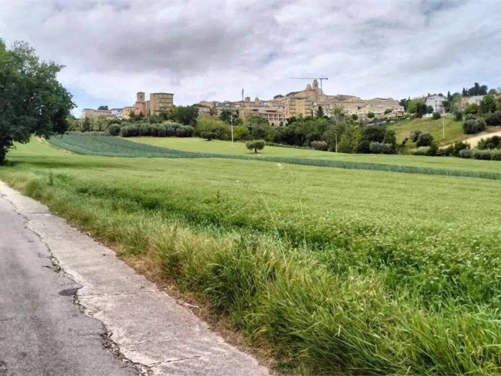 Terreno a Fermo - Foto 4