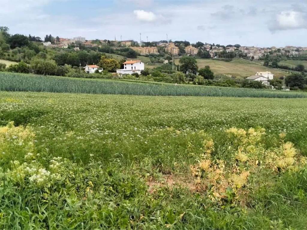Terreno a Fermo - Foto 5