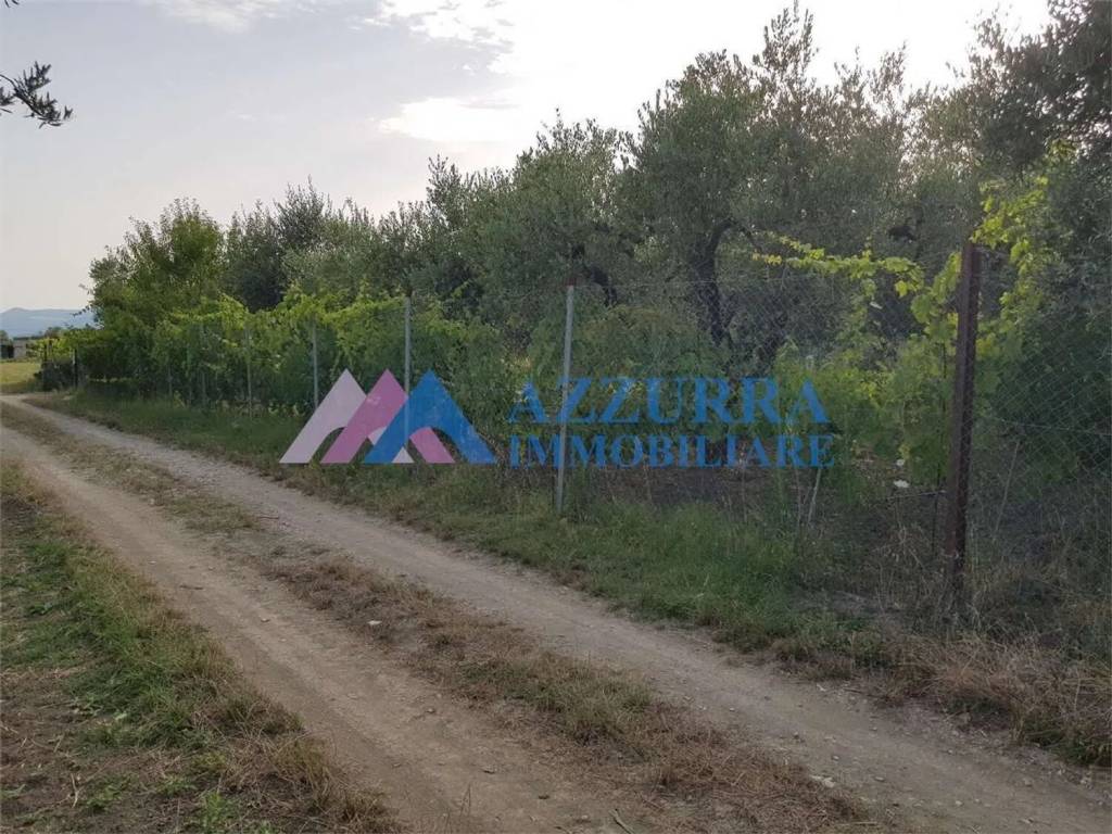 Terreno a San salvo - Foto 2