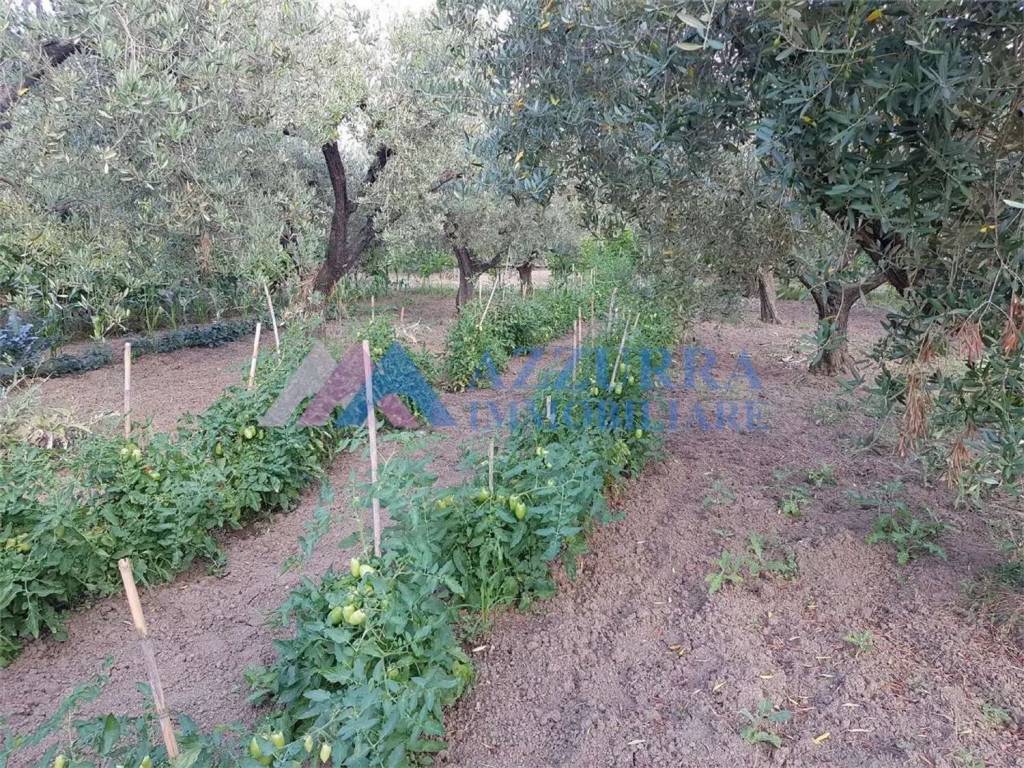 Terreno a San salvo - Foto 3