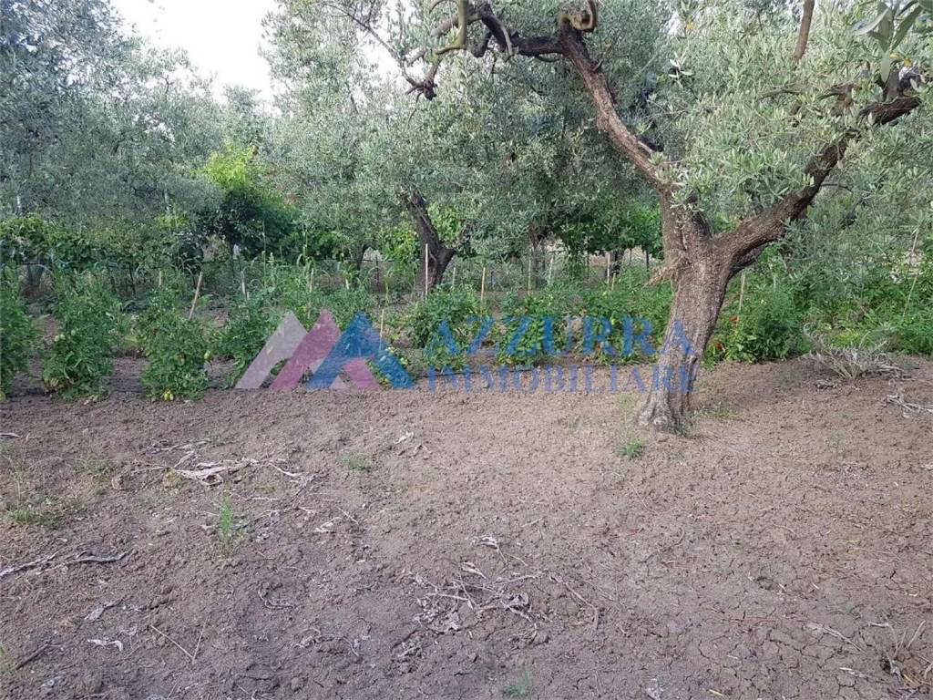 Terreno a San salvo - Foto 4