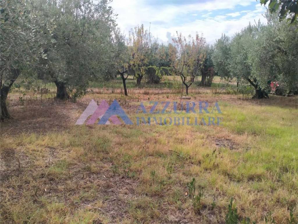 Terreno a San salvo - Foto 5