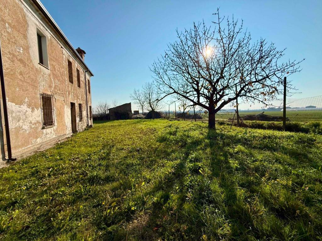 Rustico / casale a Alfonsine in Via Canal Fusignano, 11 - Foto 4