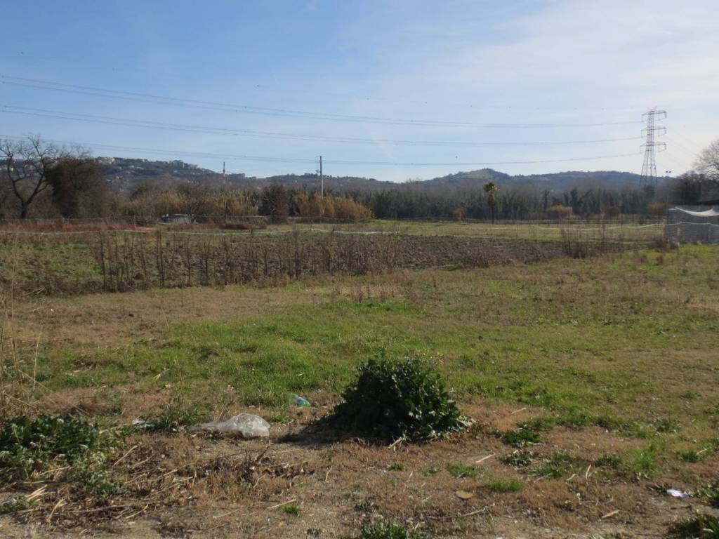 Terreno a Cepagatti in Via Bonifica - Foto 5