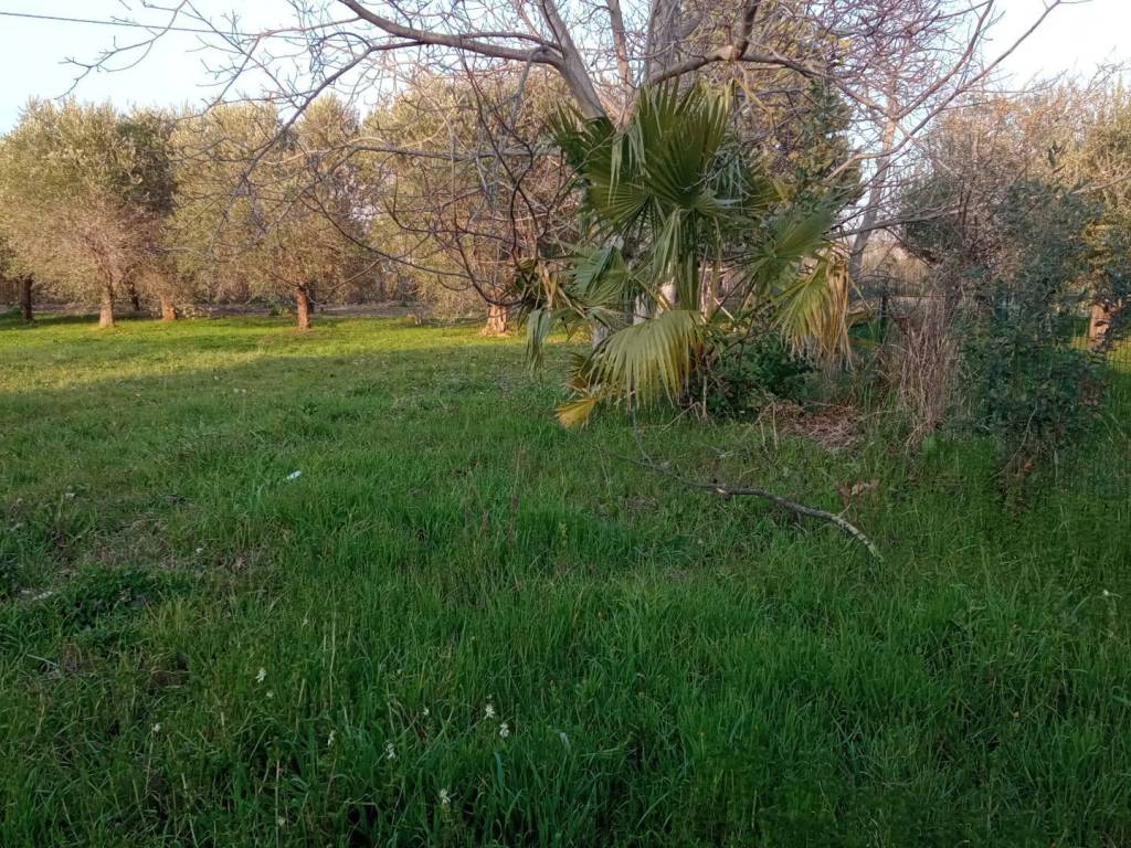 Terreno a Montesilvano in Via Vestina, 548 - Foto 3