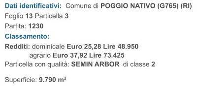 Terreno a Poggio nativo in cornazzano - Foto 2