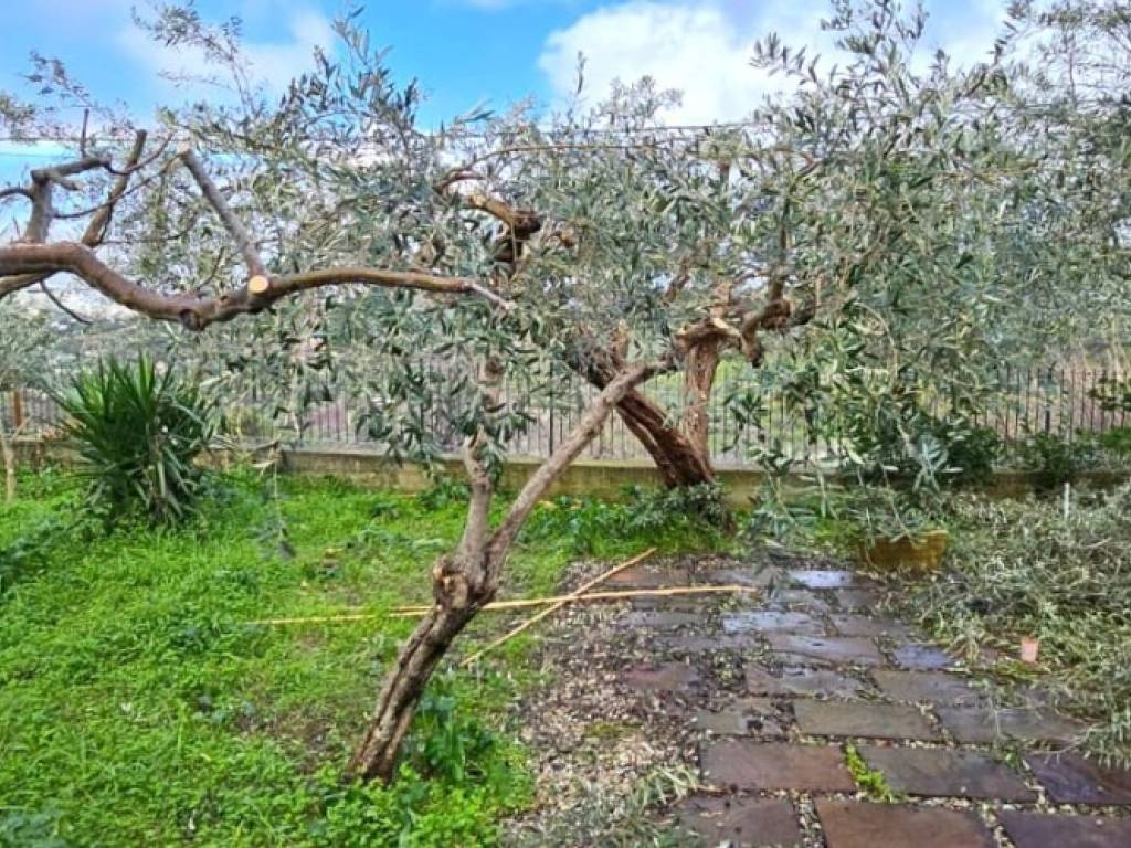 Villa a Monreale in Via M 25 - Foto 4