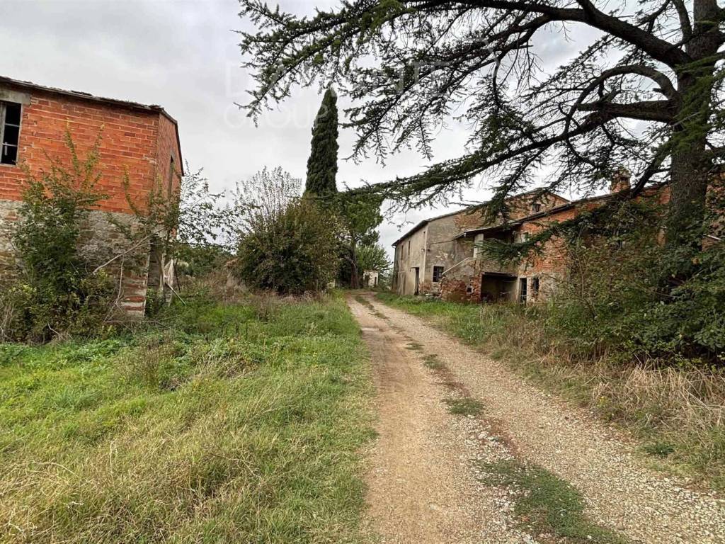 Rustico / casale a Monte san savino in Monte san savino - Foto 5