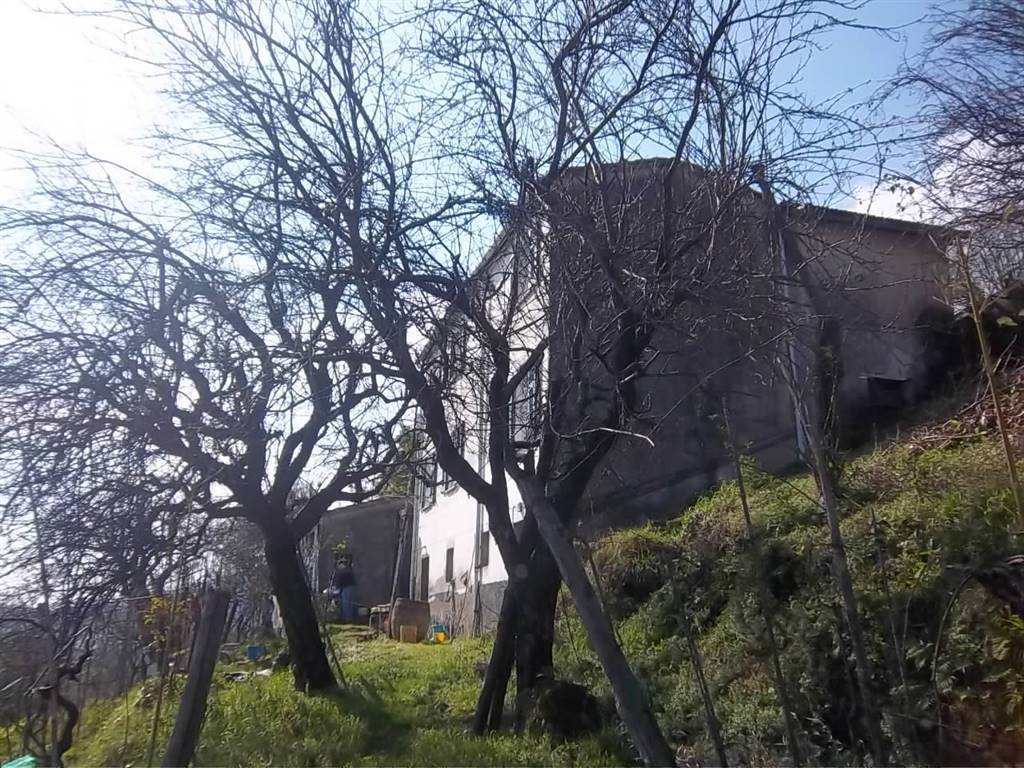 Casa indipendente a La spezia - Foto 3