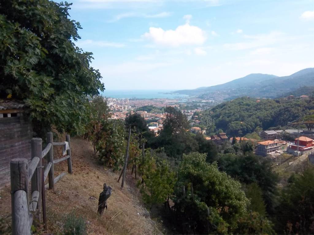 Casa indipendente a La spezia - Foto 3