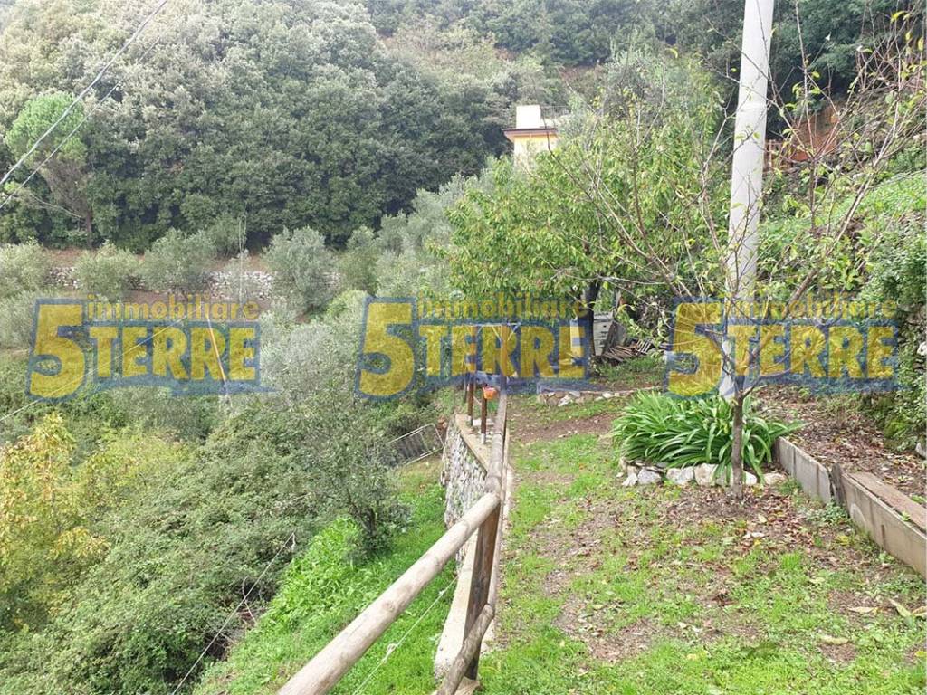 Appartamento a Vernazza in SP63 - Foto 3