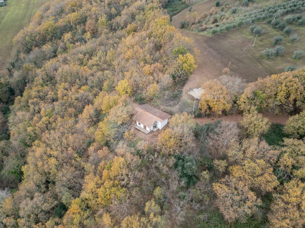 Rustico / casale a Calvi in strada statale - Foto 4