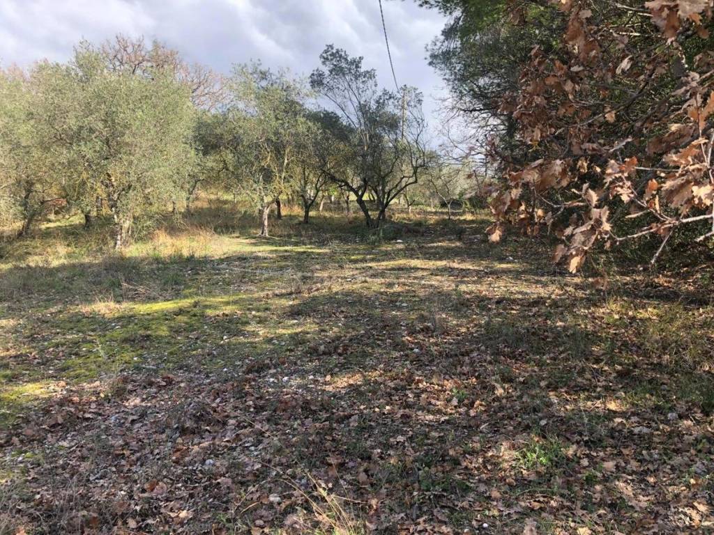Terreno a Terni in Terreno Strada di Capriano - Foto 3