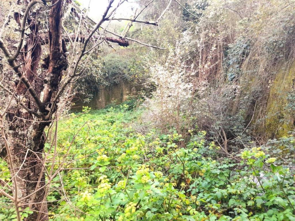 Casa indipendente a Diano arentino in Località Villatalla, 141 - Foto 4