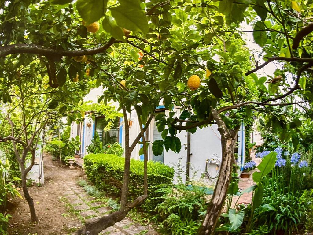 Villa a Cerveteri in Via Domenico de Santis - Foto 3