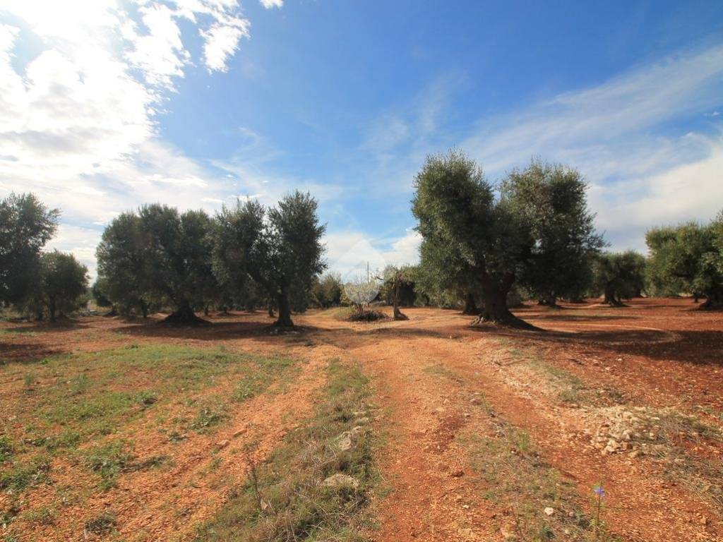 Rustico / casale a Ostuni - Foto 2