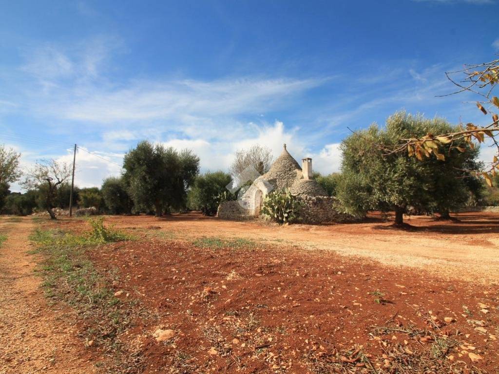 Rustico / casale a Ostuni - Foto 3