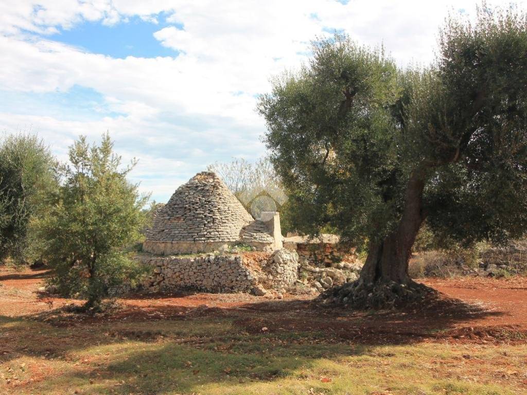 Rustico / casale a Ostuni - Foto 5