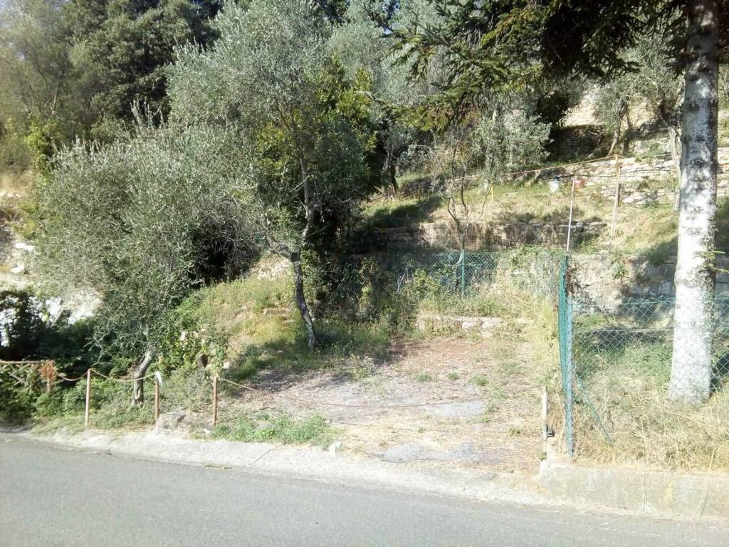 Terreno a La spezia - Foto 2