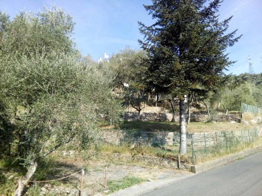 Terreno a La spezia - Foto 3