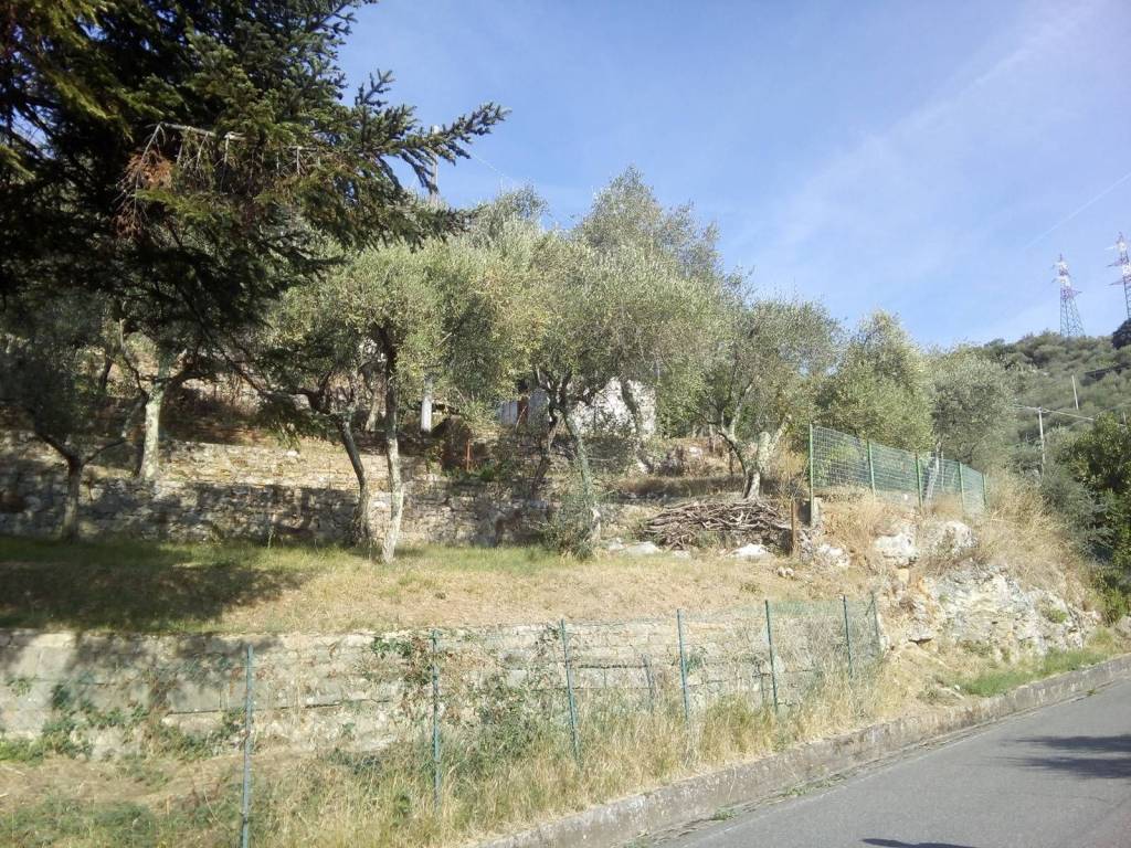 Terreno a La spezia - Foto 4