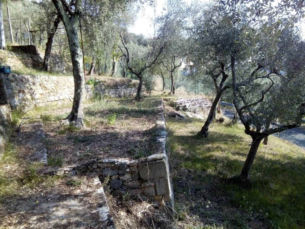 Terreno a La spezia - Foto 5