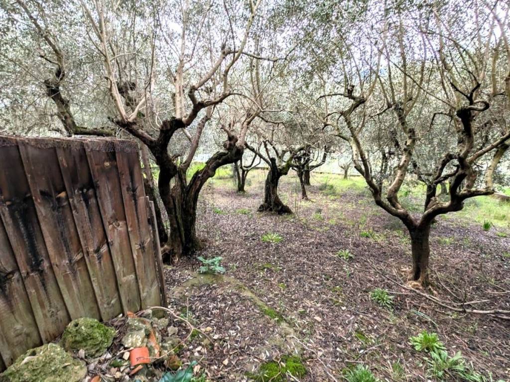 Villa a Quarrata - Foto 3