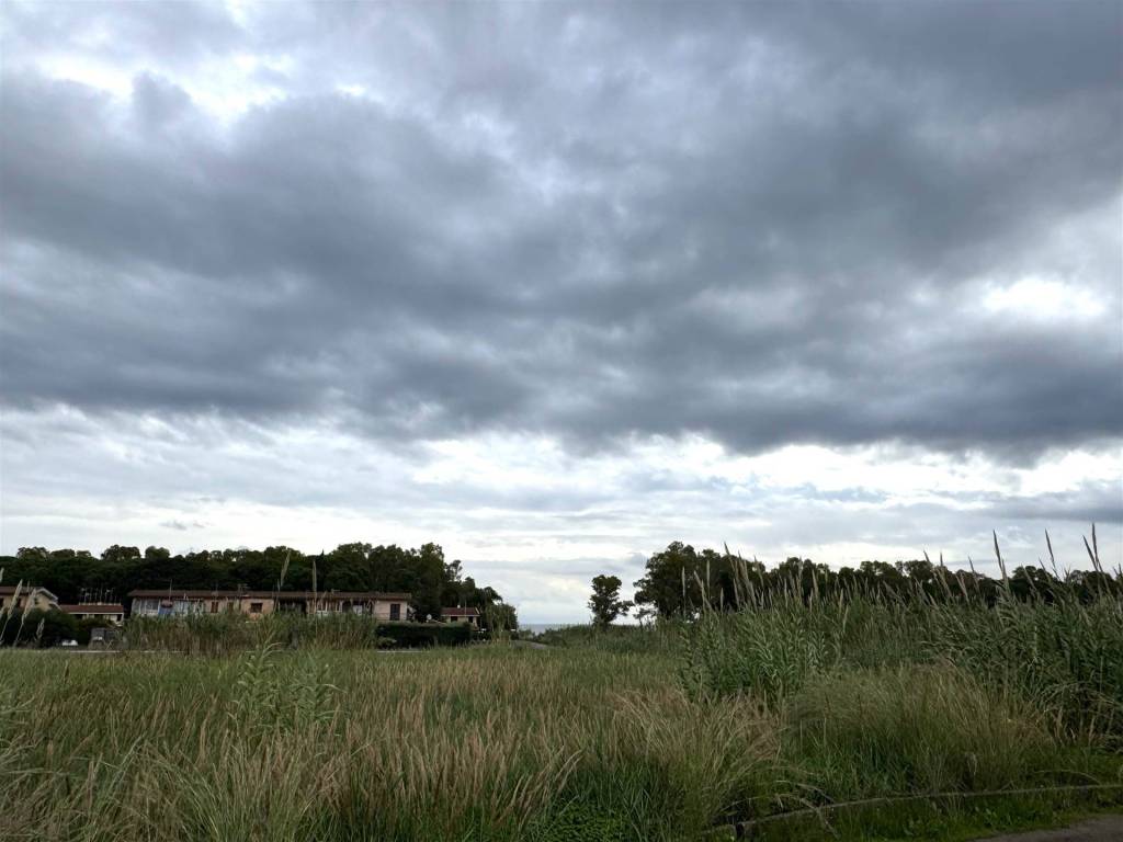 Terreno a Borgia - Foto 4