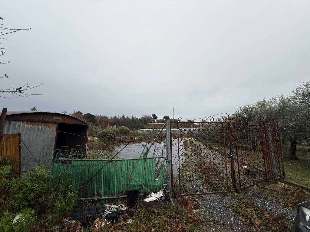 Terreno a Albenga in Vallà - Foto 3