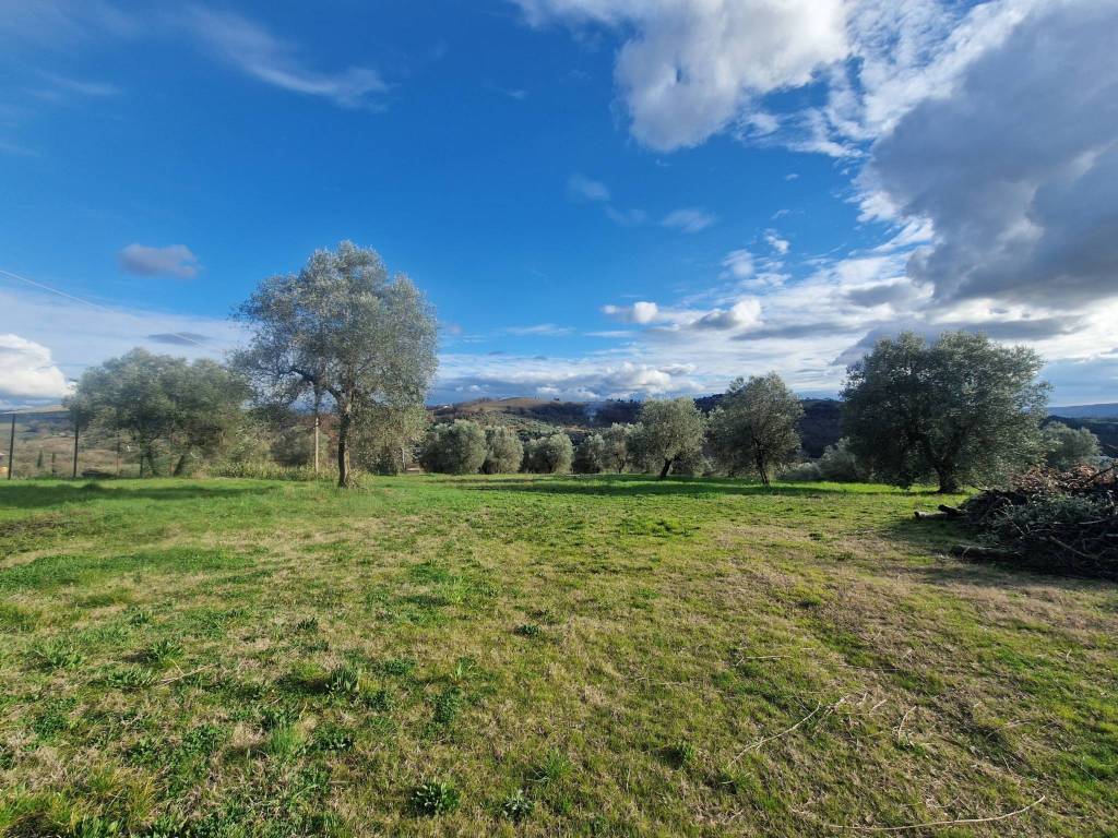 Villa a Amelia in Strada Provinciale 8, 8 - Foto 2