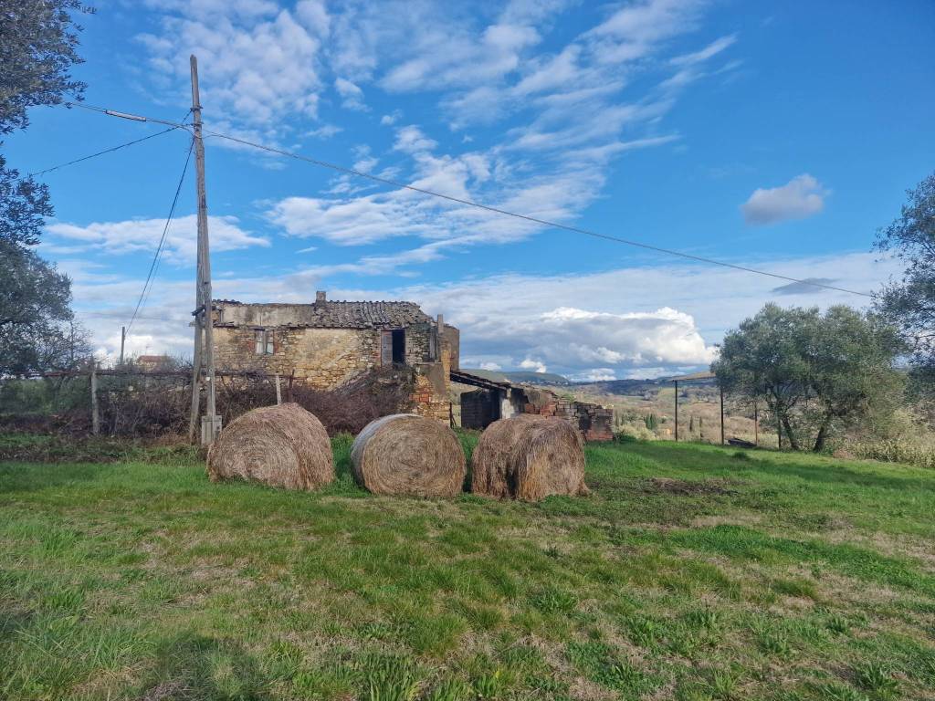 Villa a Amelia in Strada Provinciale 8, 8 - Foto 4