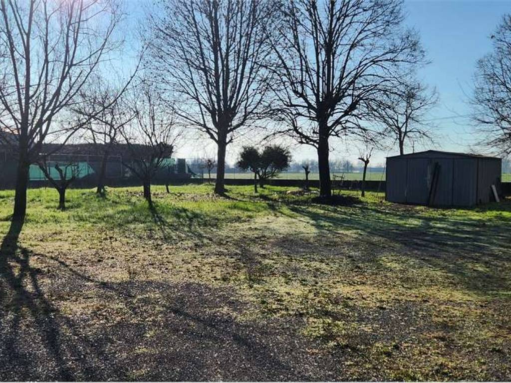 Terreno a Goito - Foto 4