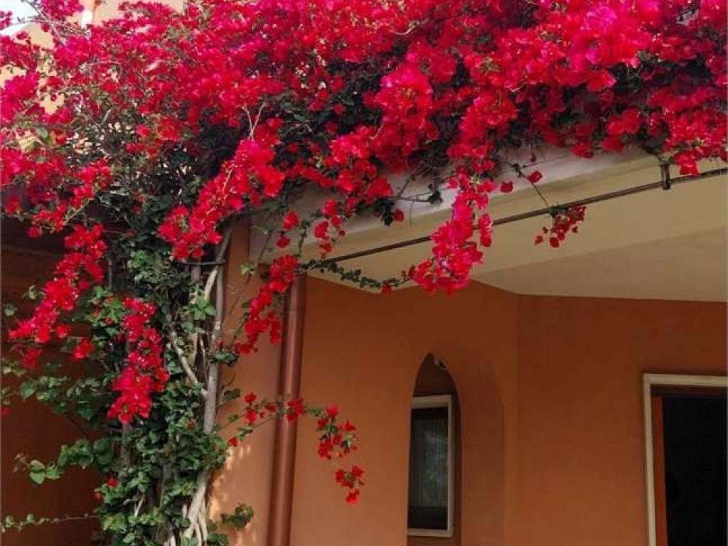Villetta a schiera a Brindisi in Via Di Torre Testa - Foto 5