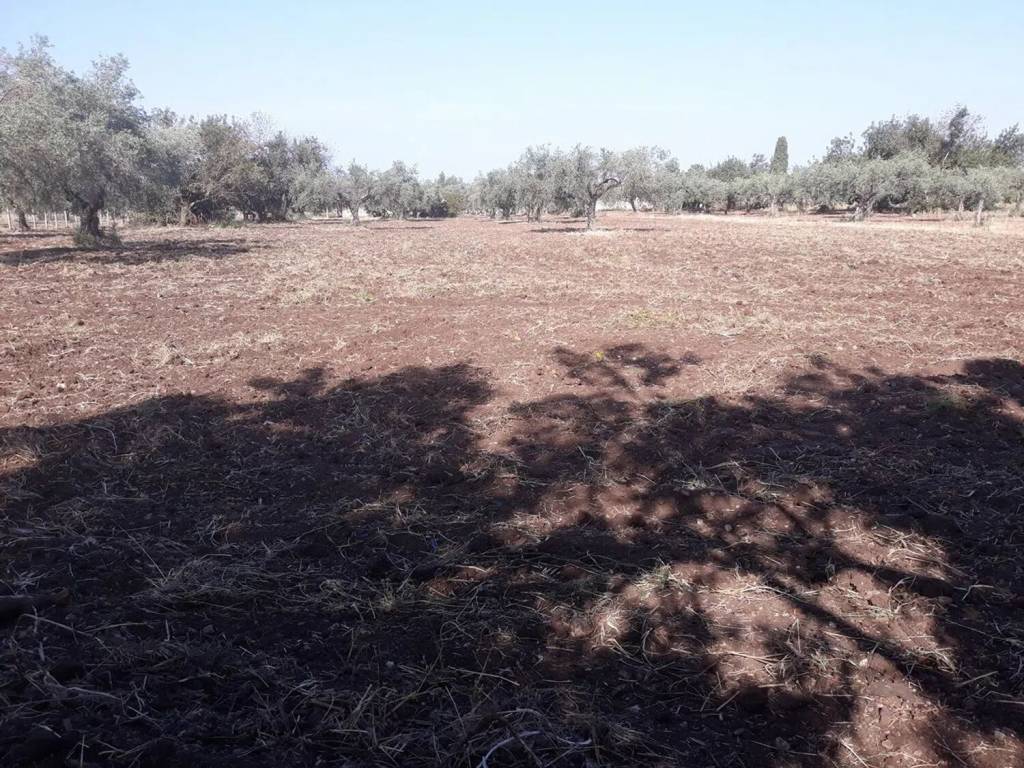 Terreno a Chiaramonte gulfi in Strada Provinciale 7, 14 - Foto 2