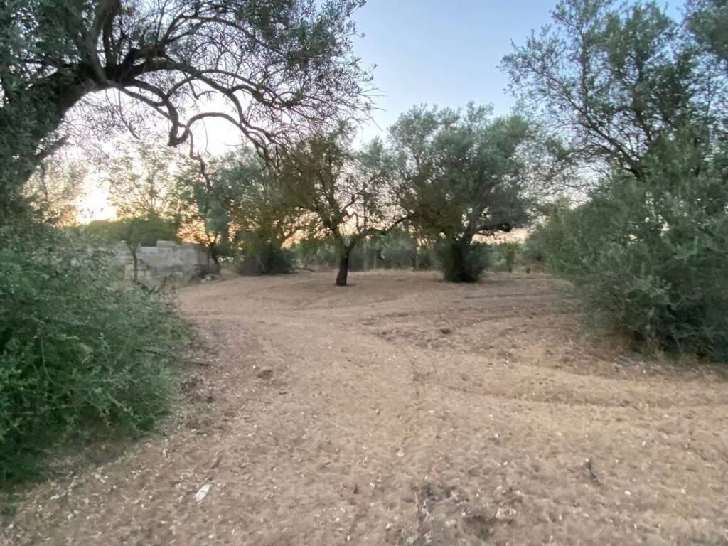 Villa a Vittoria in Contrada Bosco Rotondo No Number - Foto 4