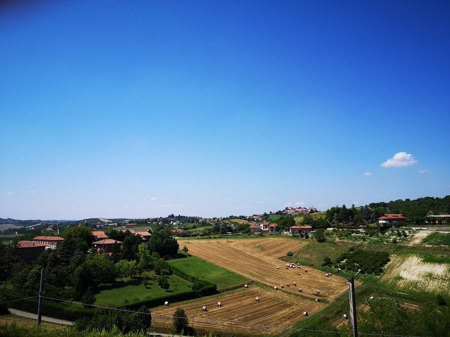 Rustico / casale a Montegrosso d'asti - Foto 3