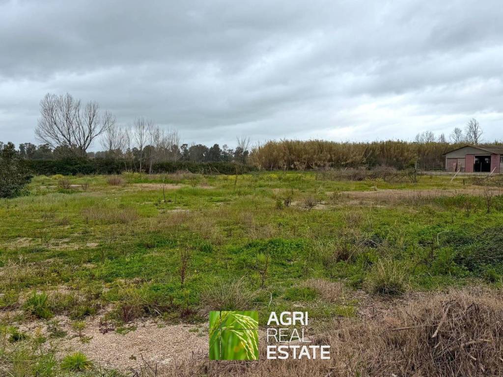 Terreno a Terracina in Strada Provinciale Migliara - Foto 2
