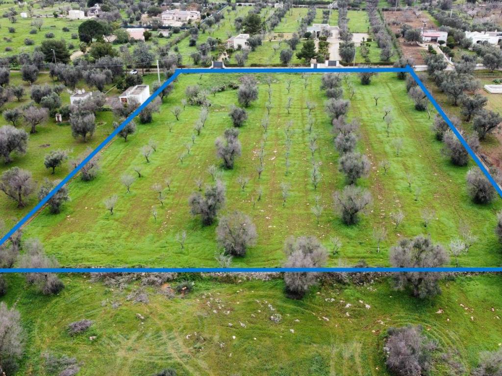 Terreno a San vito dei normanni in Contrada Specchia di Mare - Foto 3