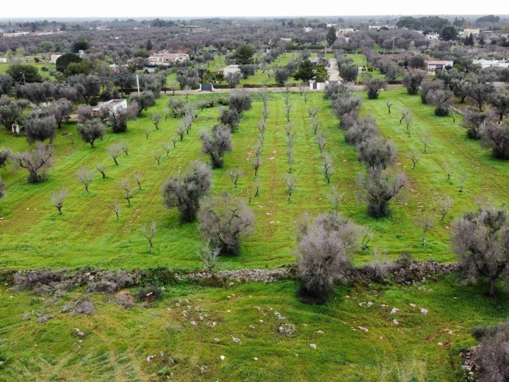 Terreno a San vito dei normanni in Contrada Specchia di Mare - Foto 5