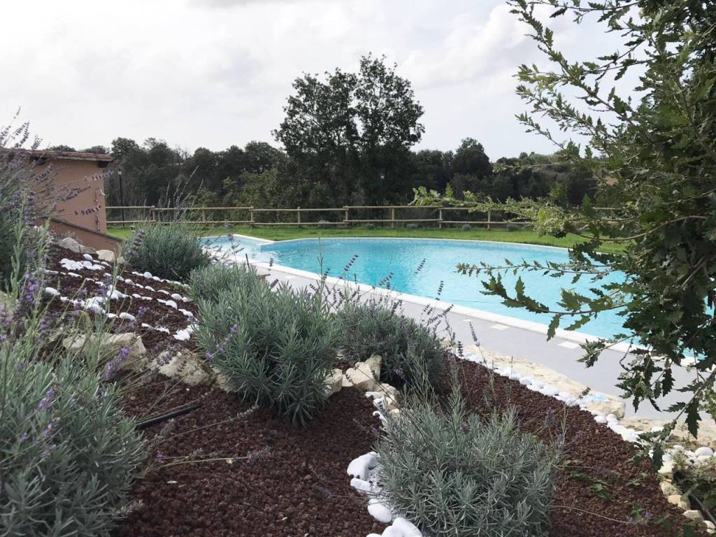 Rustico / casale a Fiumicino in Vicolo di Castel Campanile, 100 - Foto 5