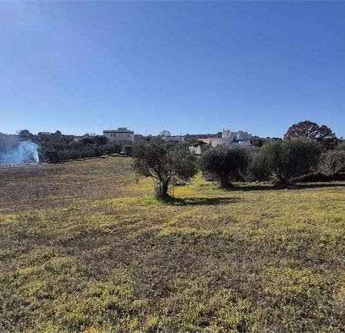 Terreno a Ostuni in Strada Provinciale 16 - Foto 2