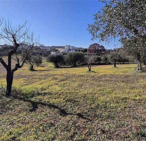 Terreno a Ostuni in Strada Provinciale 16 - Foto 4