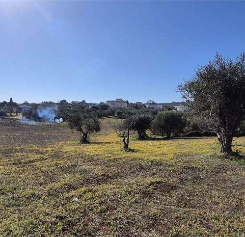 Terreno a Ostuni in Strada Provinciale 16 - Foto 5